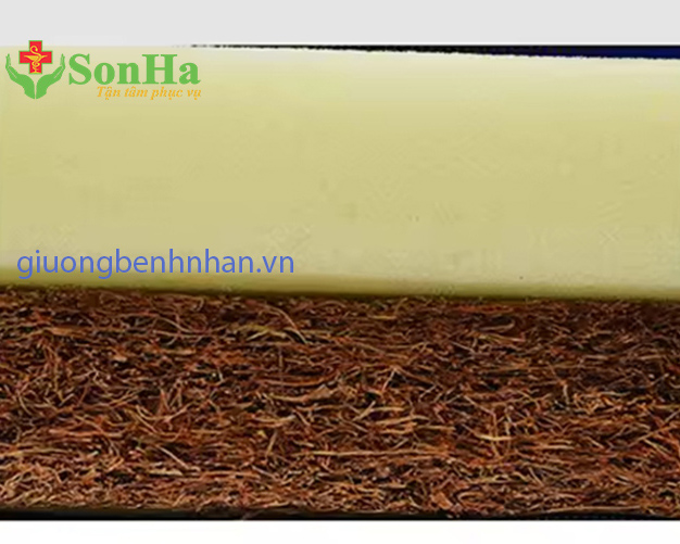 đệm xơ dừa giường bệnh dcn-01